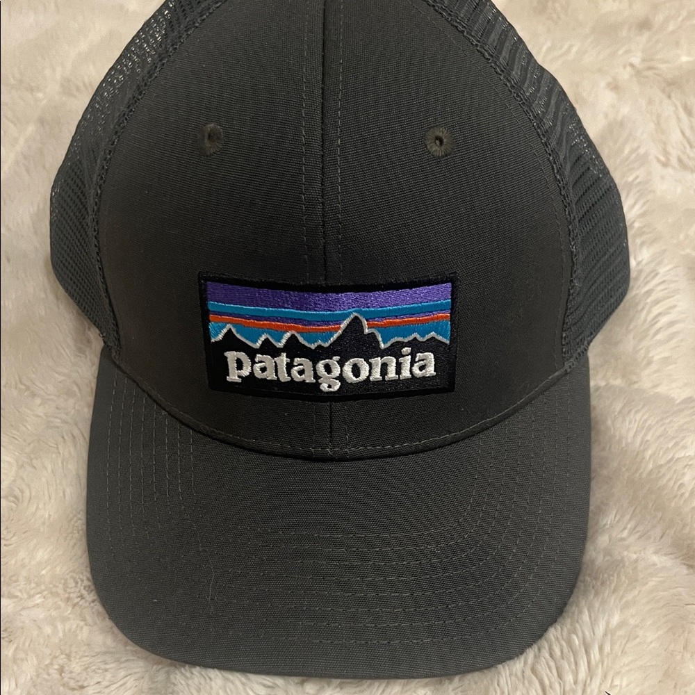 Patagonia Charcoal Trucker Cap